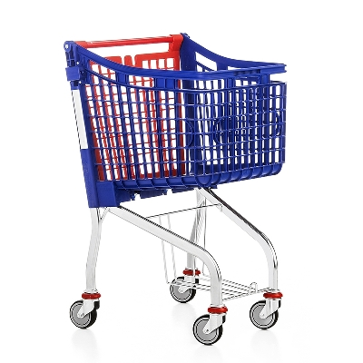 Carrello Spesa 100