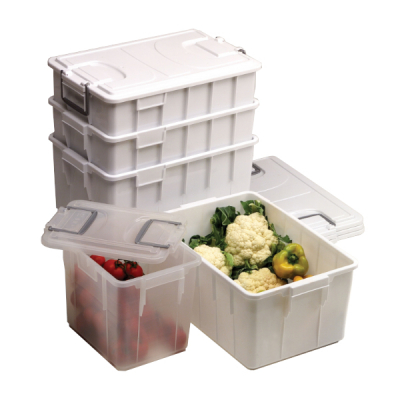 16588450170359-boxfoodlt60inssov