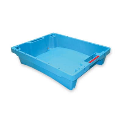 Contenitore pesce 50x40x11h MP