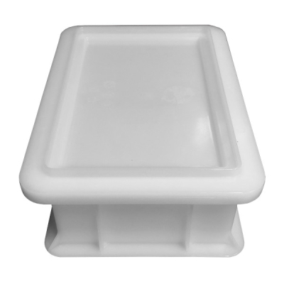 1764343951597-contenitorepizza300x200x10h