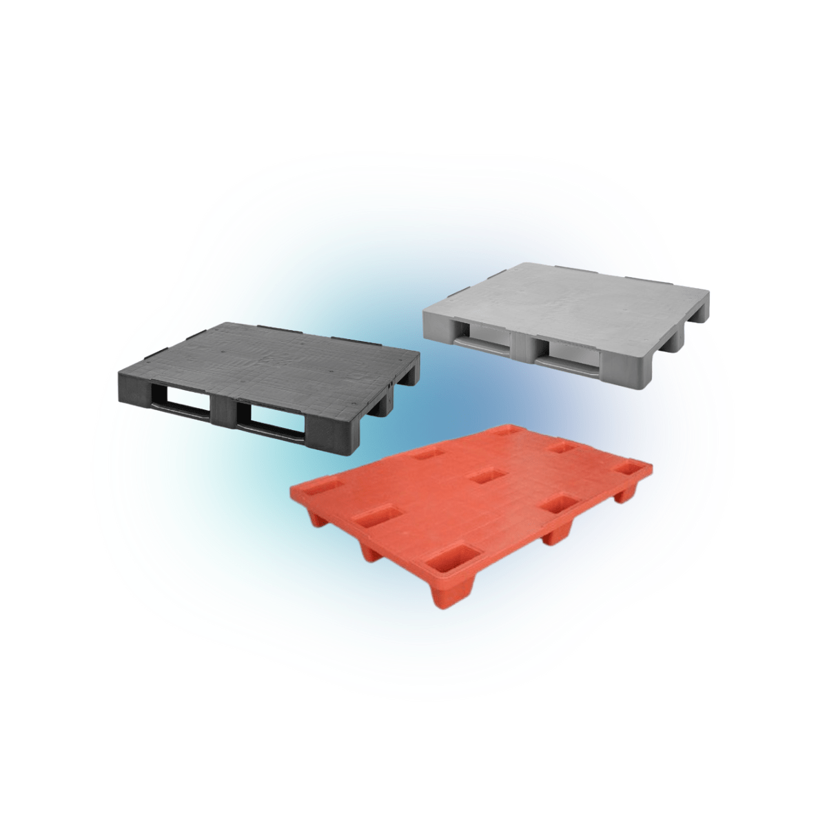 Pallet per canili